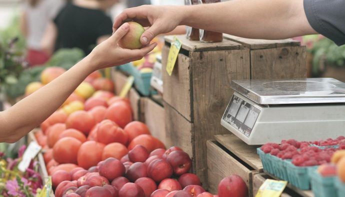 Wybieranie świeżych owoców i warzyw na straganie targowym