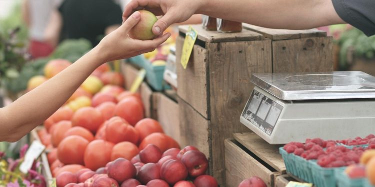 Wybieranie świeżych owoców i warzyw na straganie targowym